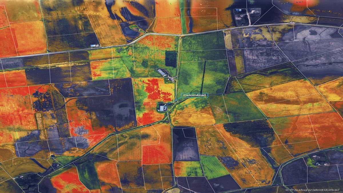 Mapa NDVI clasificado por zonas de humedad sobre un lote agrícola